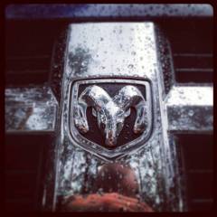 Dodge