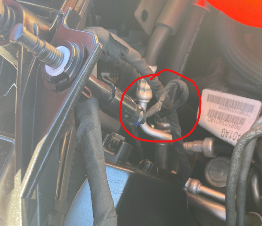 Hood Switch Connector 2.png