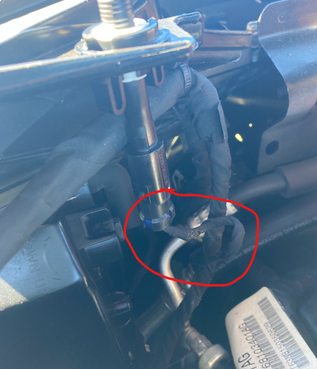 Hood Switch Connector.png