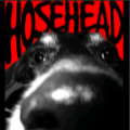 HoseHead